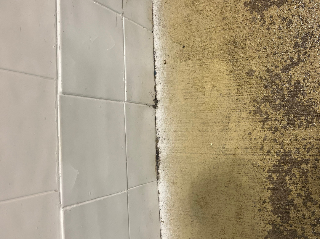 华美达梅里特酒店主图