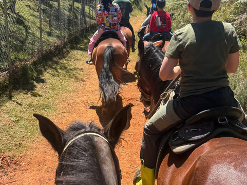 Serenya Reserva Ecuestre-恩维加多必去景点