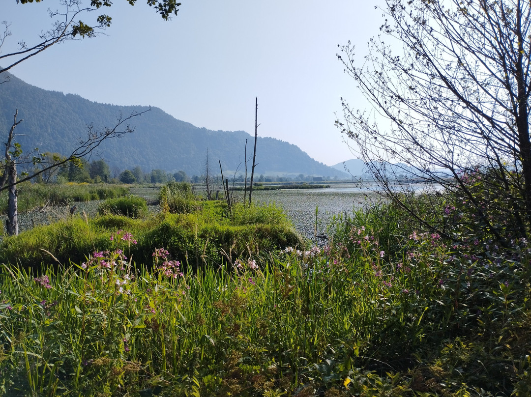 Slow Trail Bleistätter Moor Ossiach