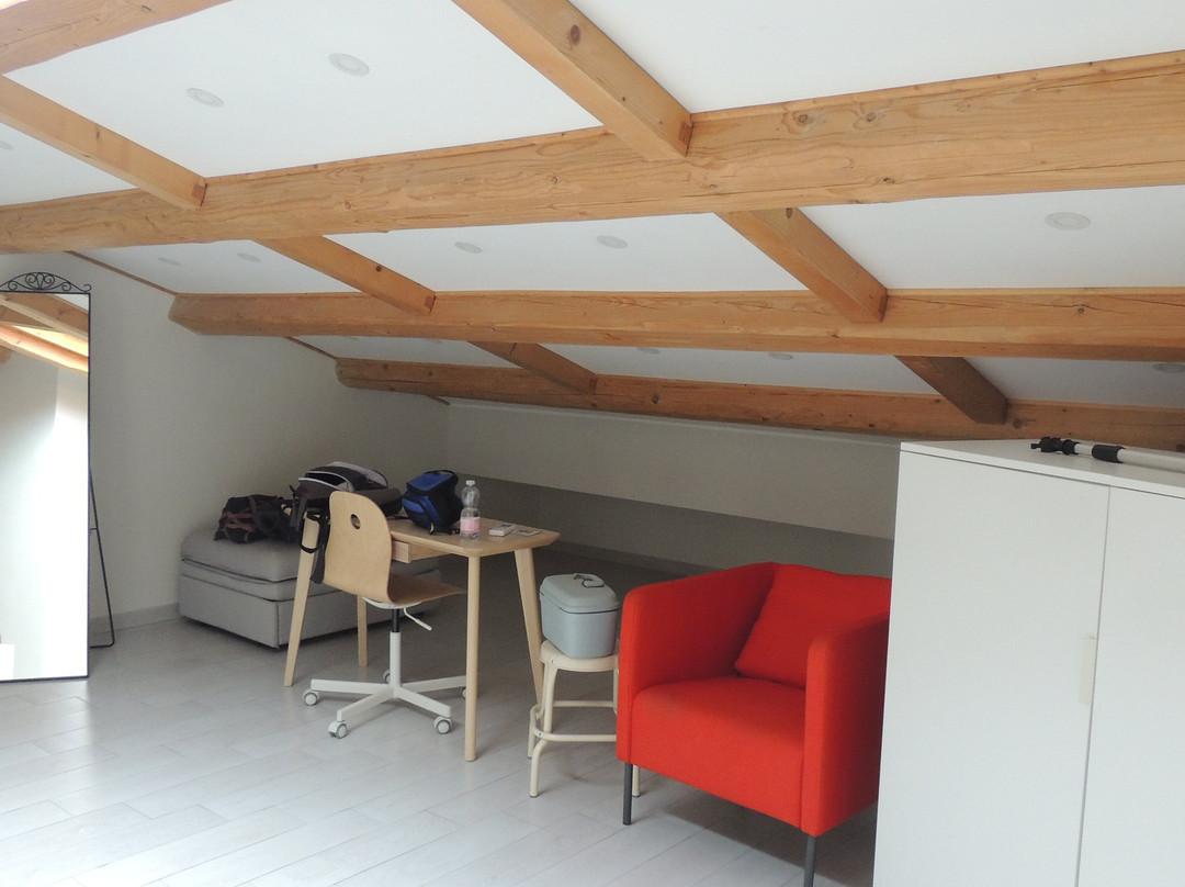 B&B Sagittabondo主图