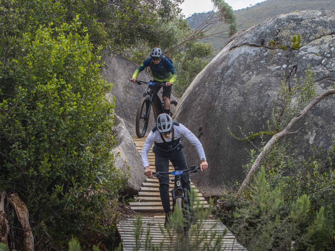 Paarl Trails - Laborie Estate-帕尔必去景点