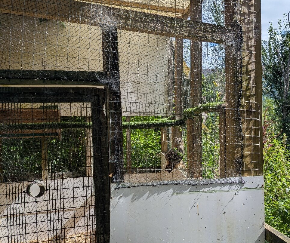 Festival Park Owl Sanctuary-Ebbw Vale必去景点