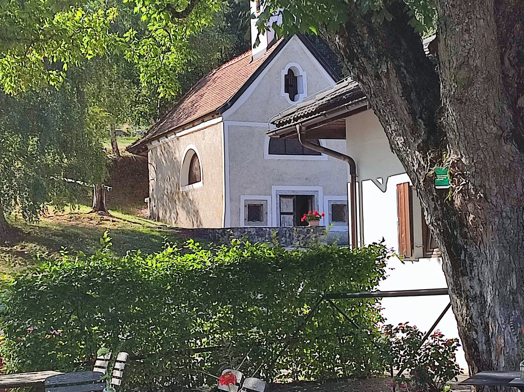 Ansitz Fonteklaus主图