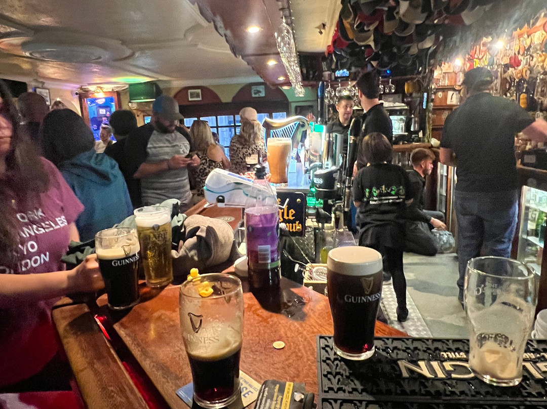 The Dingle Pub-丁格尔必去景点