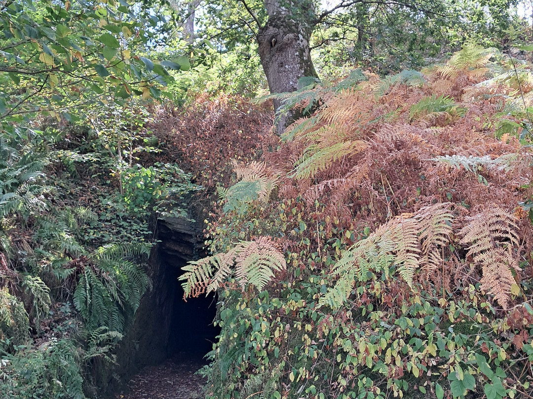Dolaucothi Gold Mines-Llanwrda必去景点