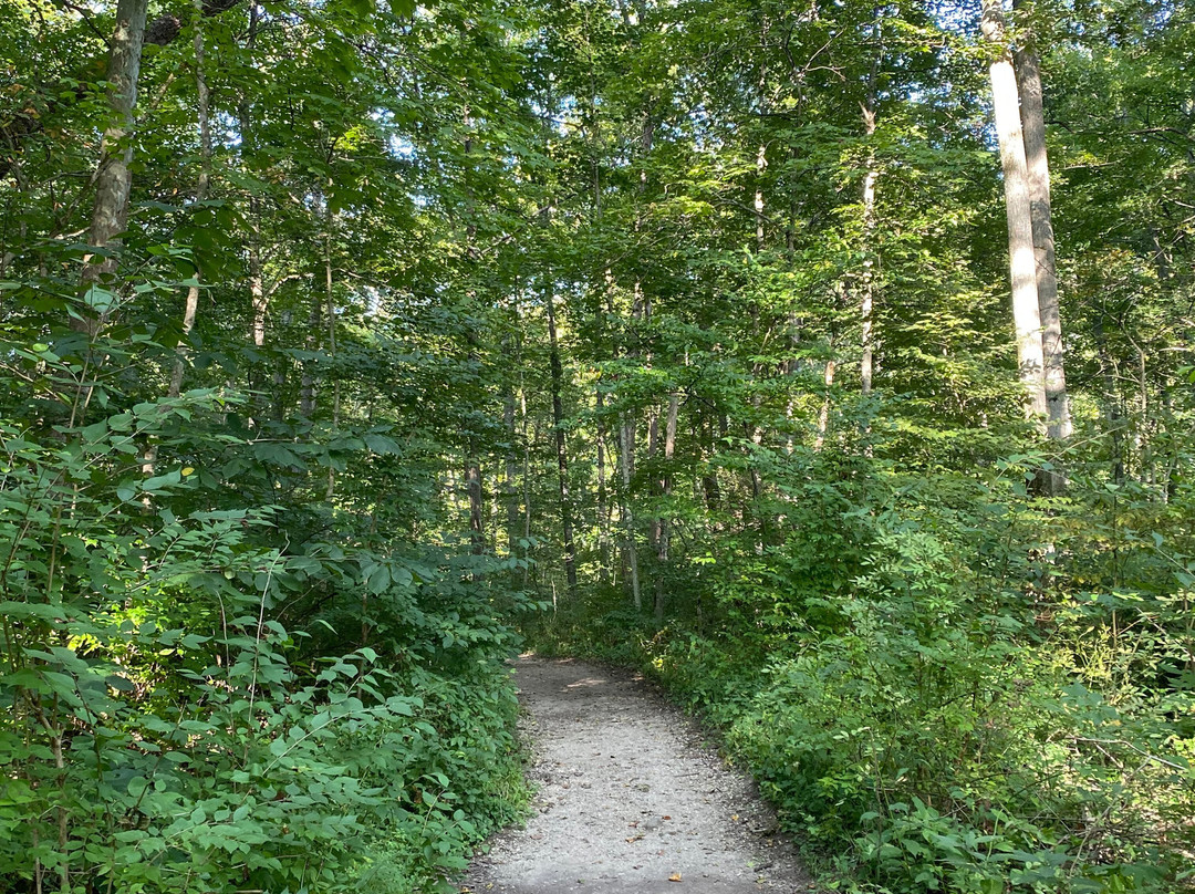 John Bryan State Park-Yellow Springs必去景点