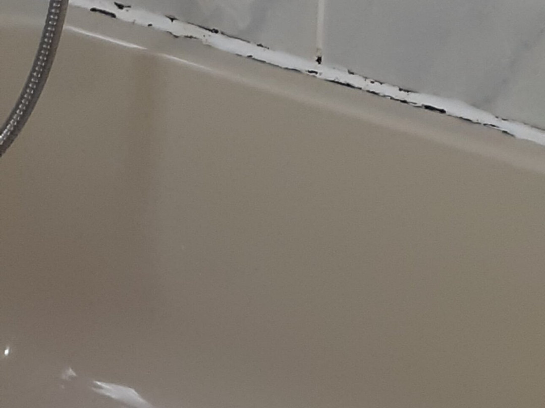 The Royal Bridlington主图