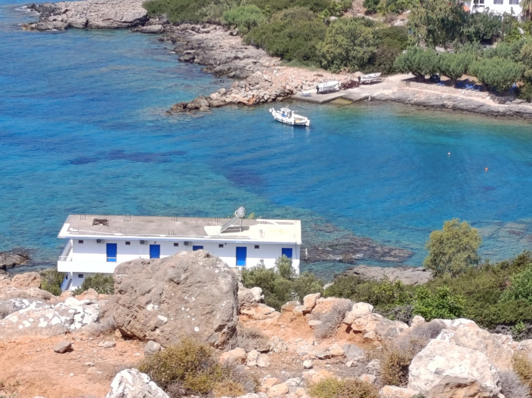 The Old Phoenix主图