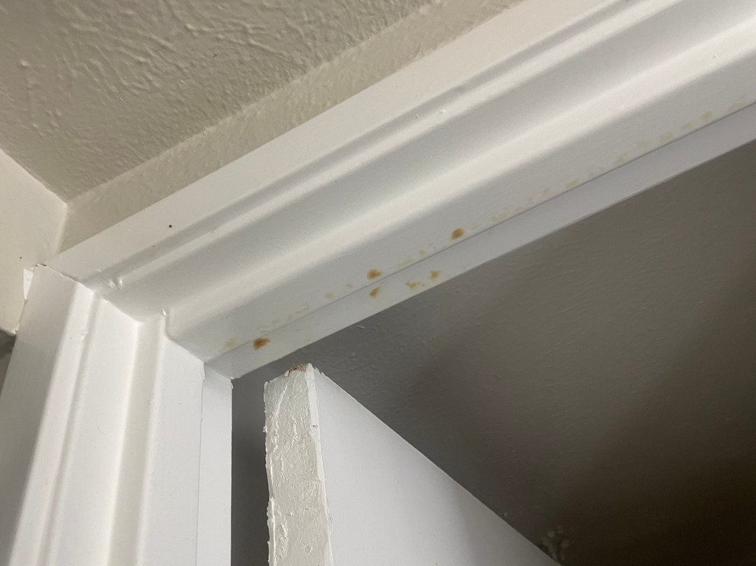 La Quinta Inn by Wyndham El Paso East Lomaland主图