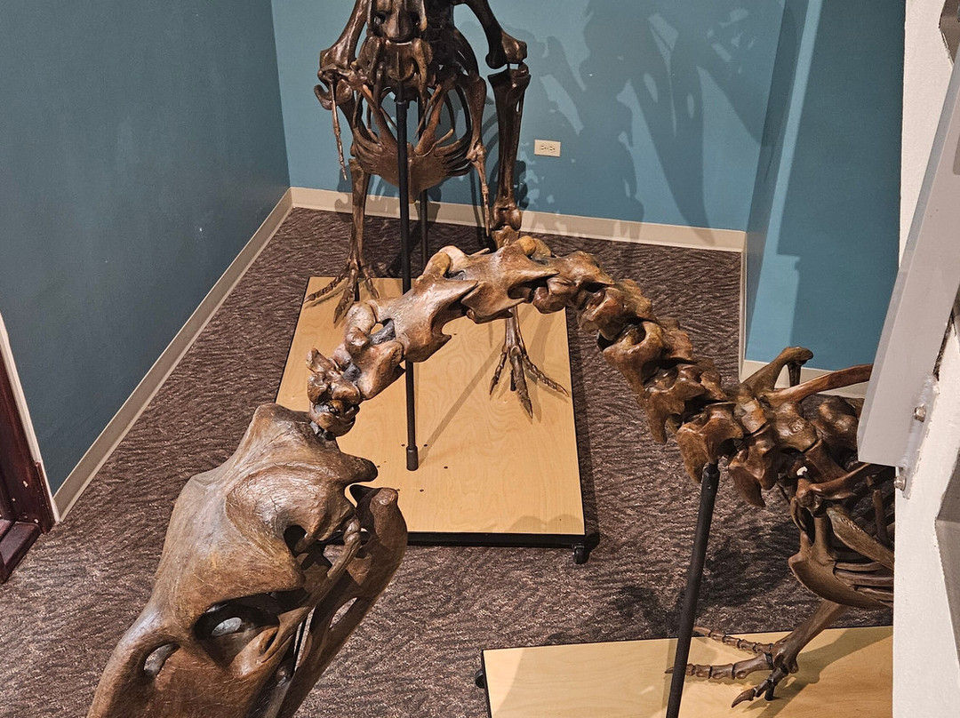 The Bishop Museum Of Science And Nature-布雷登顿必去景点