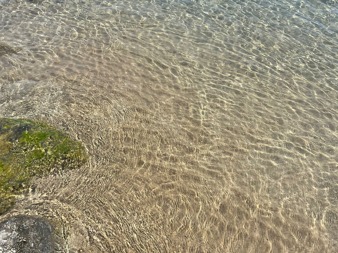 Elena Beach Hotel主图