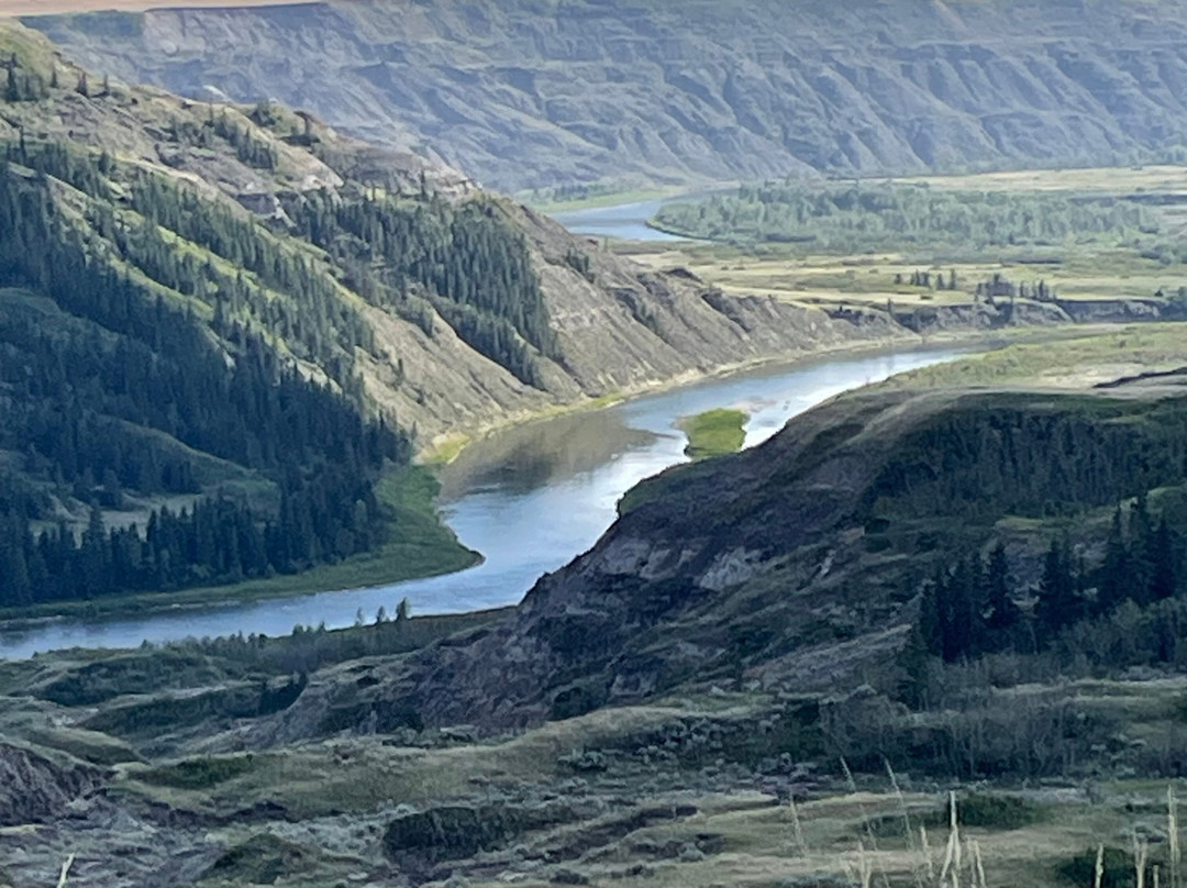 省立德莱岛野牛公园-Elnora必去景点