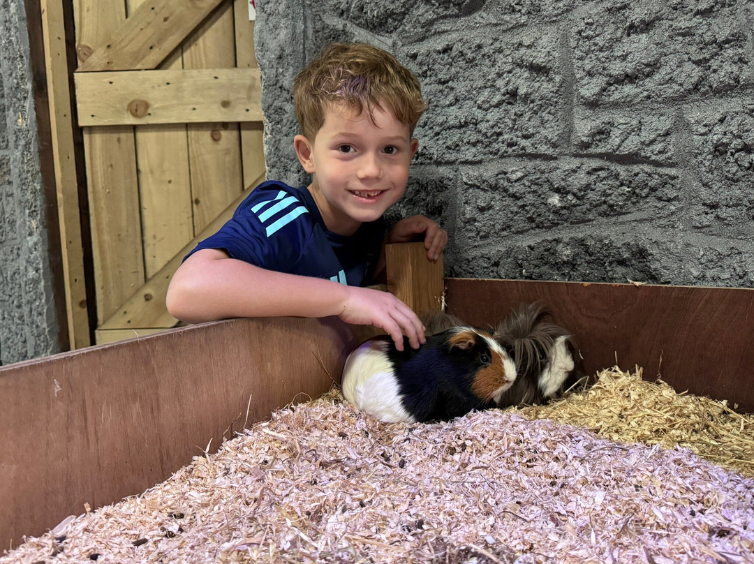 Farmer Teds Adventure Farm-Ormskirk必去景点