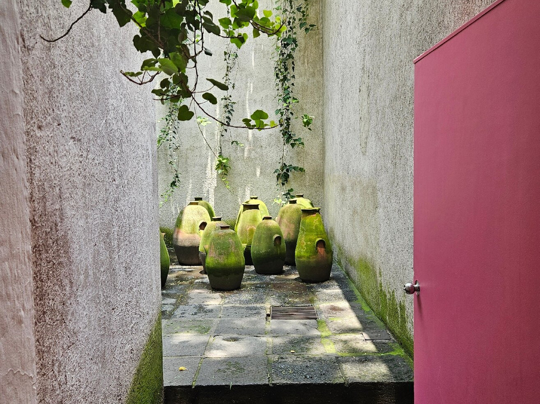 路易斯·巴拉干博物馆-墨西哥城必去景点