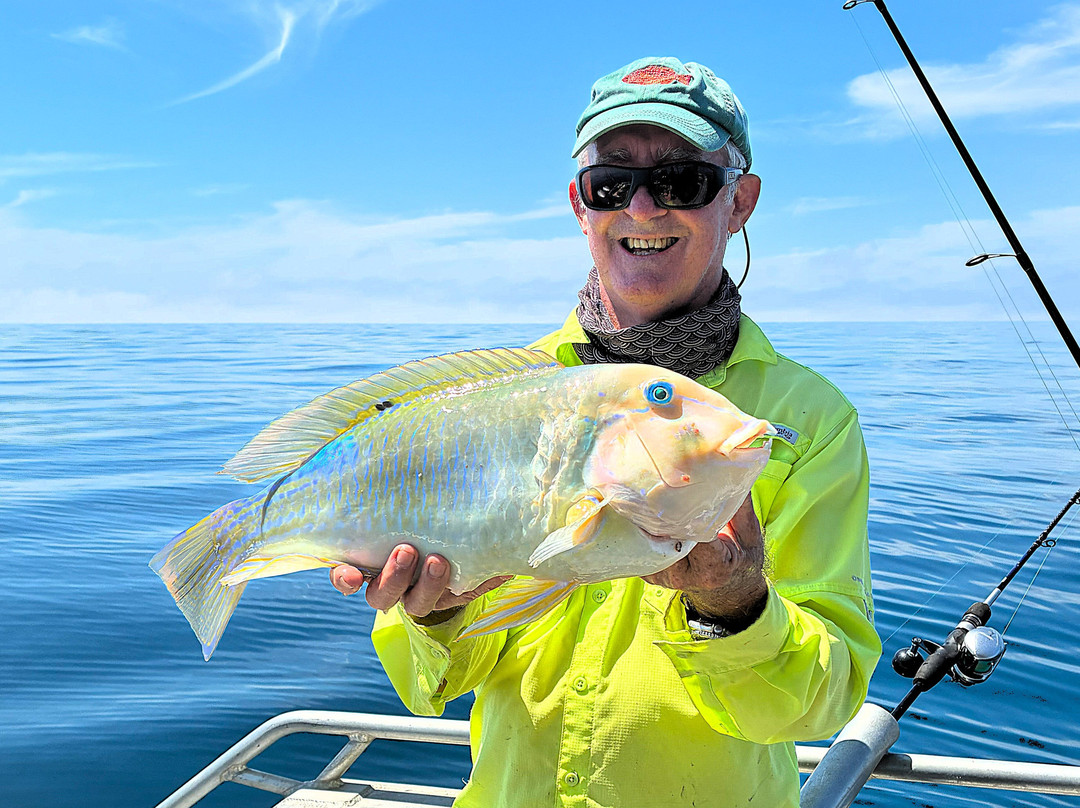 Dundee Beach Fishing Charters-Dundee Beach必去景点