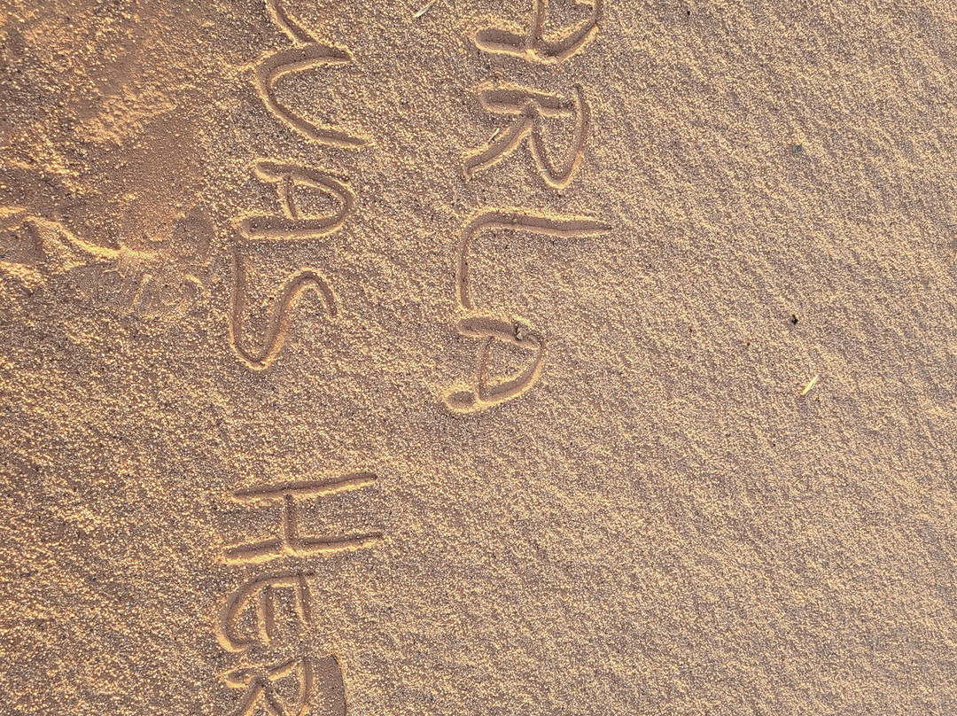 Jordan Experience tours-安曼必去景点