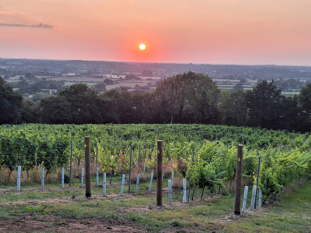 Maud Heath Vineyard-Calne必去景点