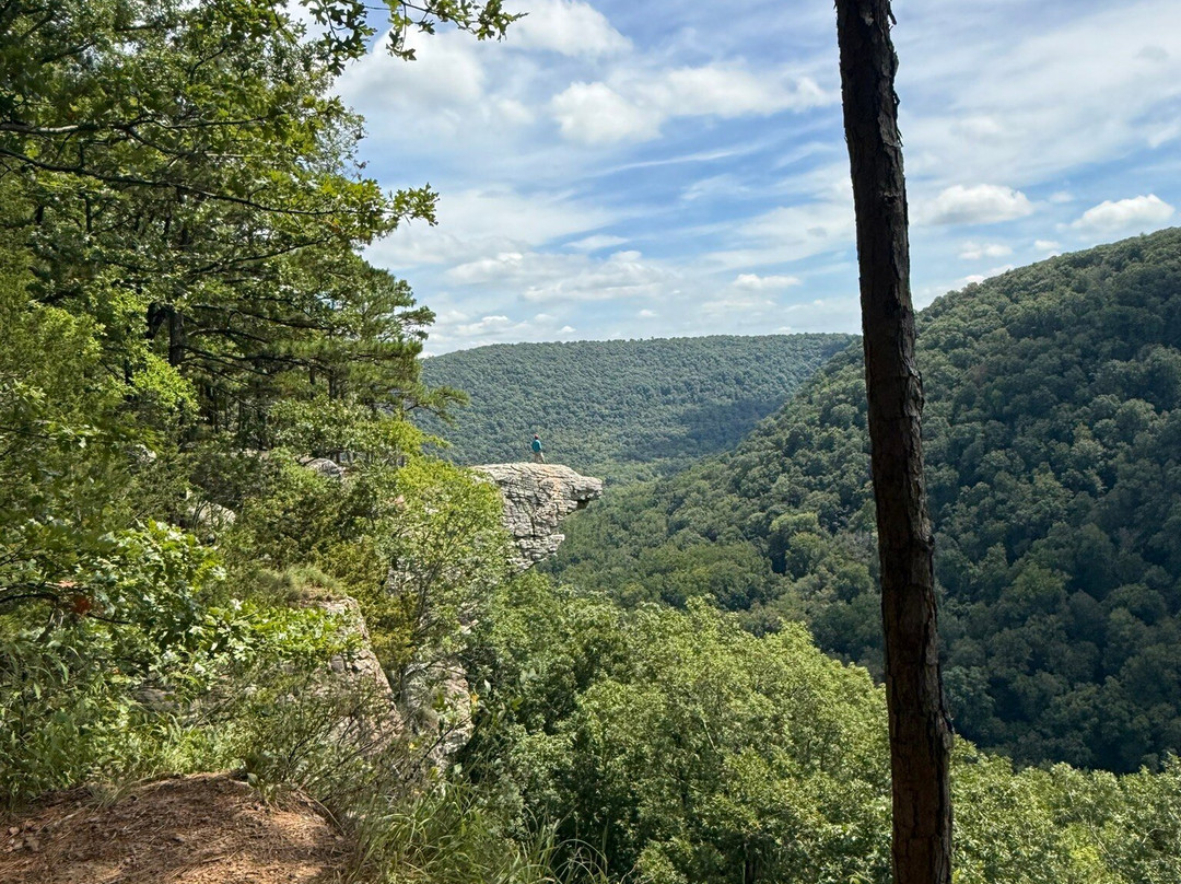 Hawksbill Crag-Ponca必去景点