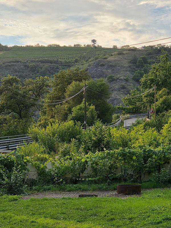 Landhotel Niederthaeler Hof主图