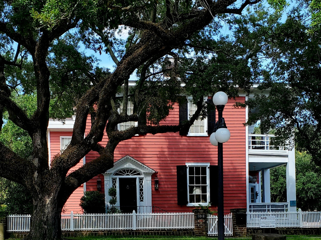 Swamp Fox Tours-乔治敦必去景点