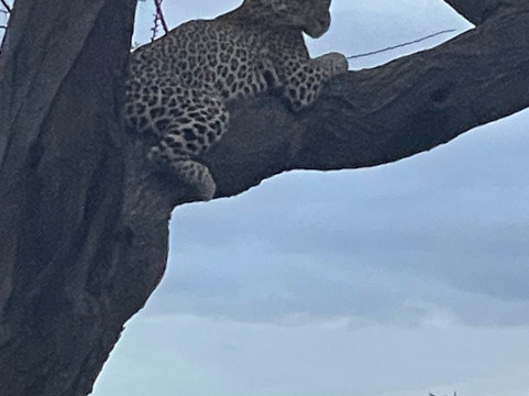 Sunworld Safaris-内罗毕必去景点