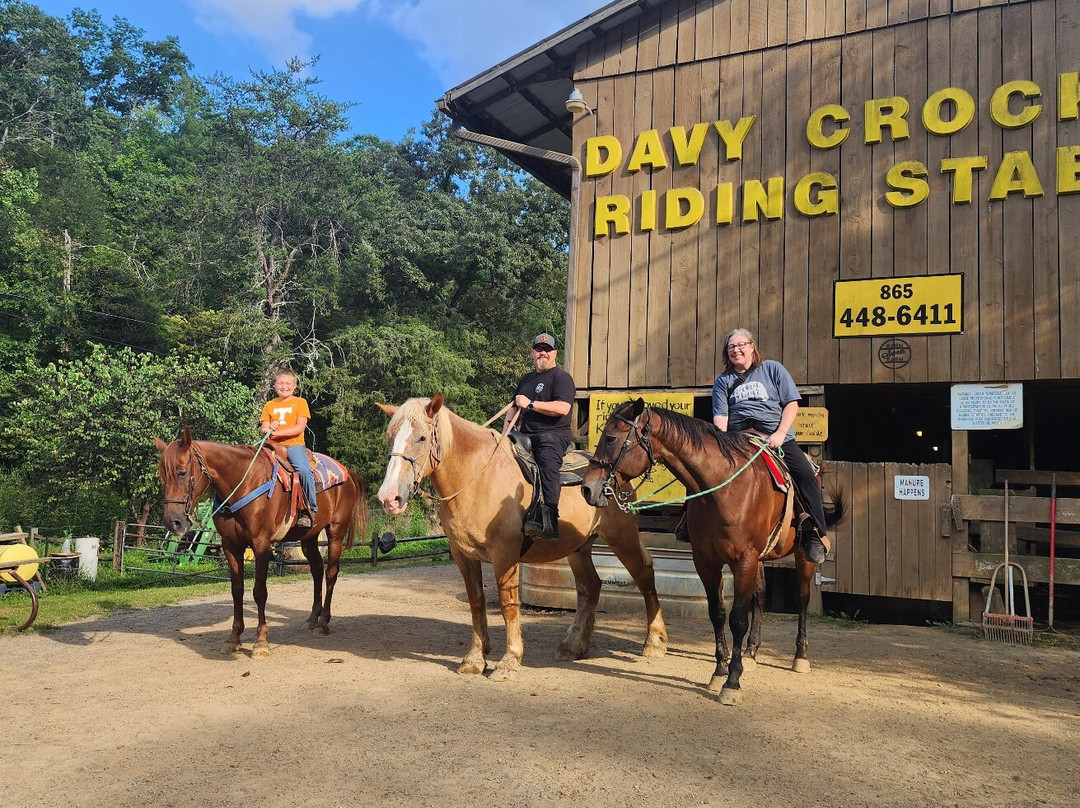 Davy Crockett Riding Stables-汤森必去景点