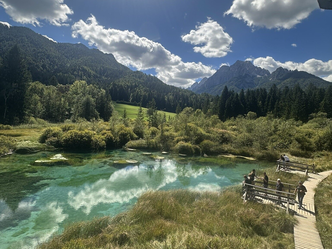 Zelenci Nature Reserve-Kranjska Gora必去景点