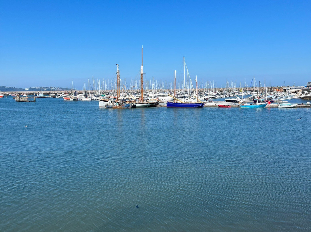 Brixham Harbour-布里克瑟姆必去景点