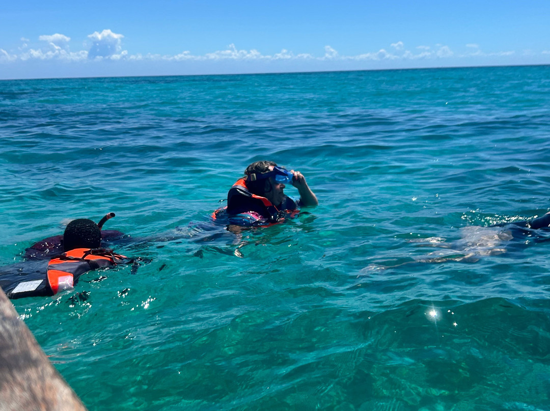 Jumanji Private Tours Zanzibar-Kidoti必去景点