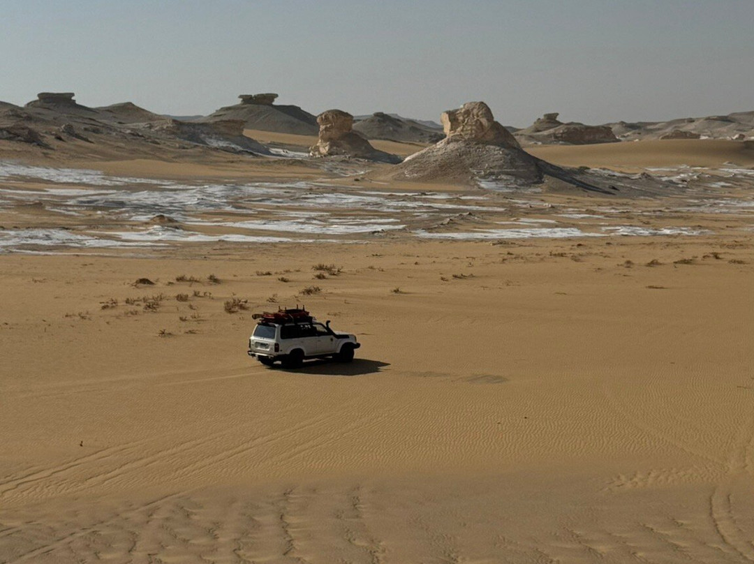 Egypt Western Desert Tours - Day Tour-Bawiti必去景点