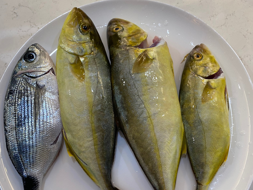Siracusa Mare-锡拉库扎必去景点