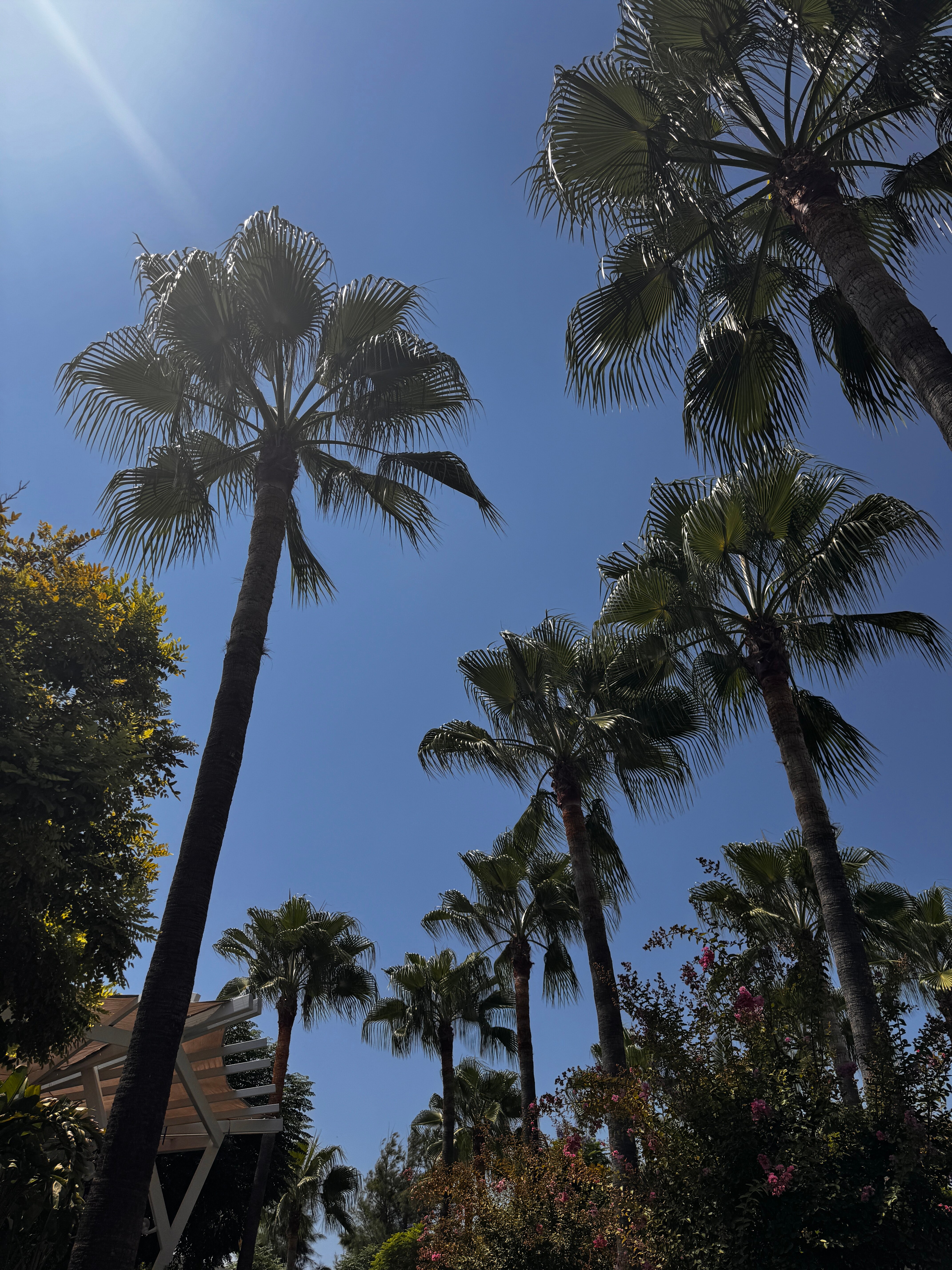 Aydinbey King's Palace & Spa-浴室