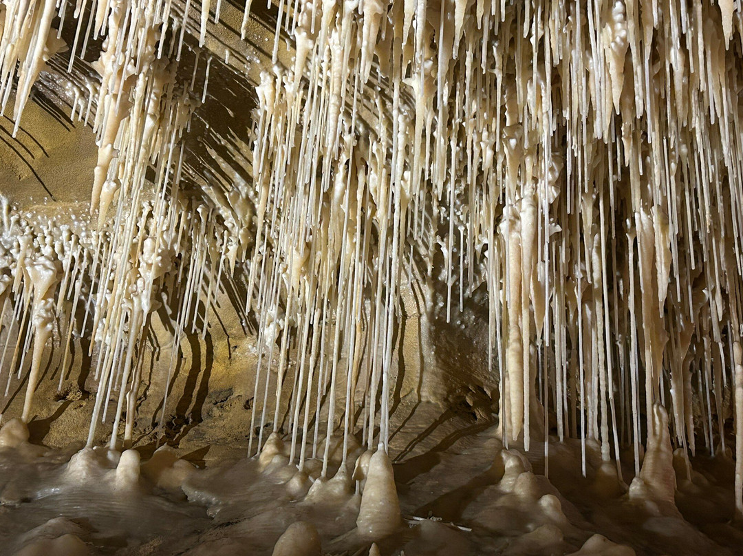 Grottes de Cougnac-Payrignac必去景点