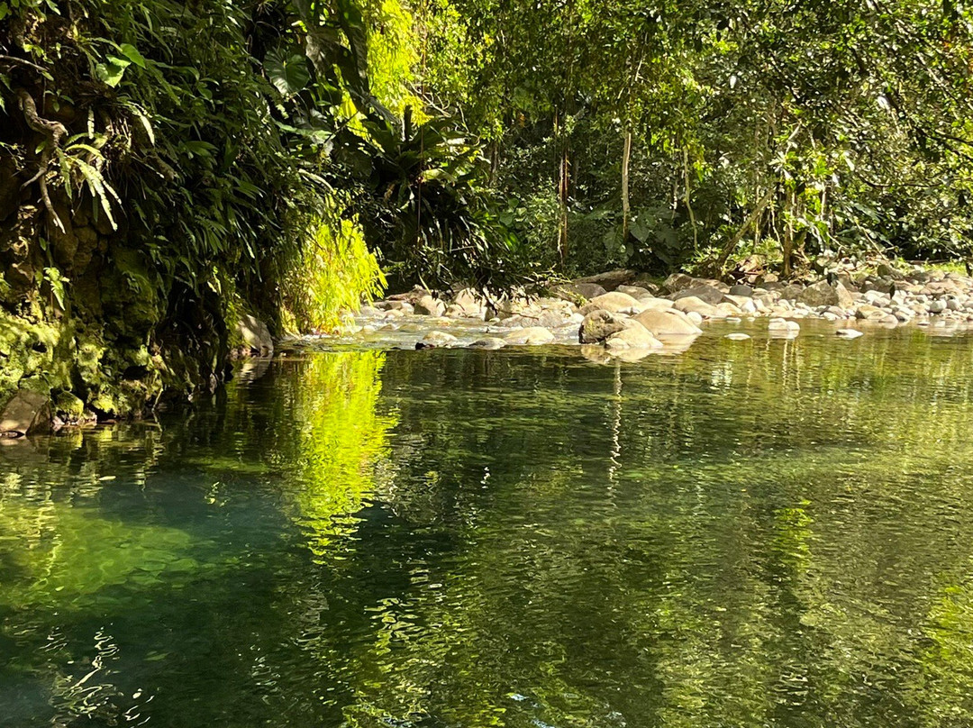 German Butterfly-Pointe-a-Pitre必去景点