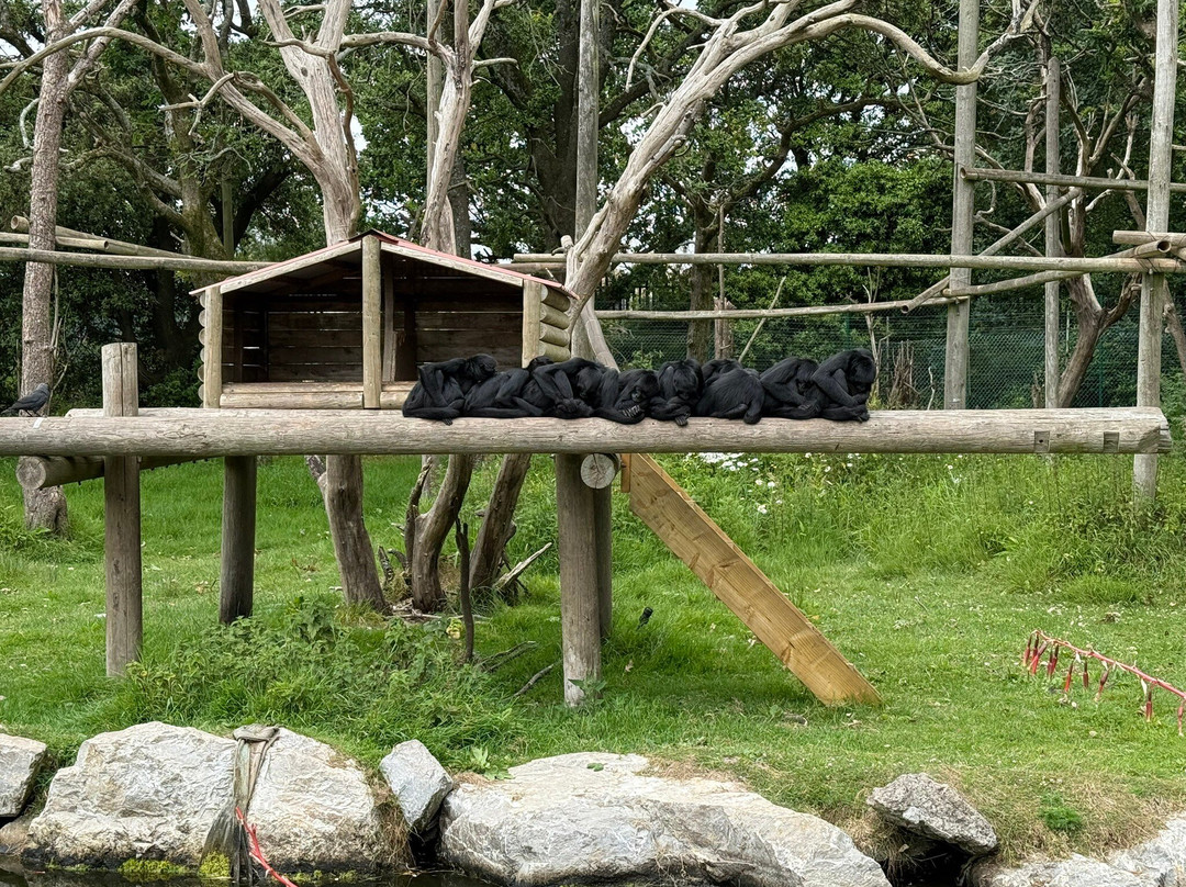 Fota Wildlife Park-Carrigtwohill必去景点