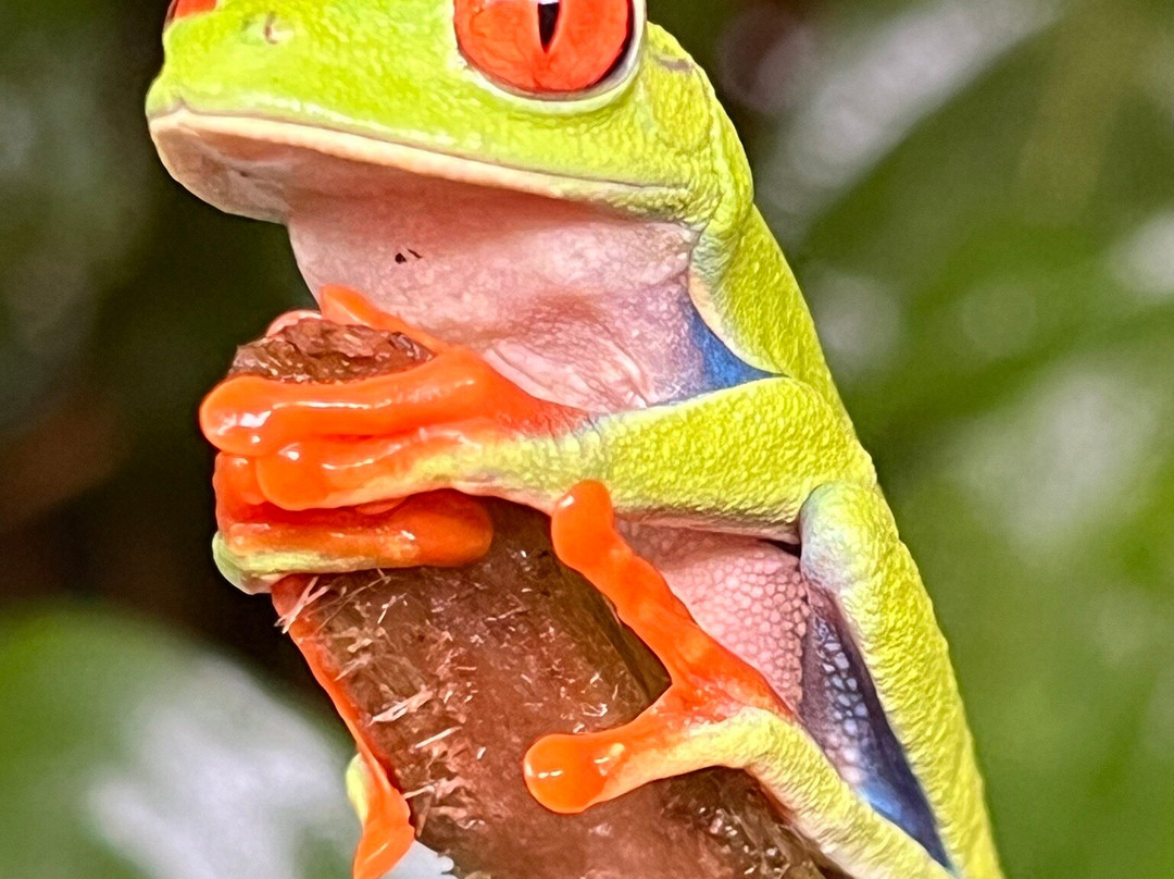 Royal Service Tours-利比里亚必去景点