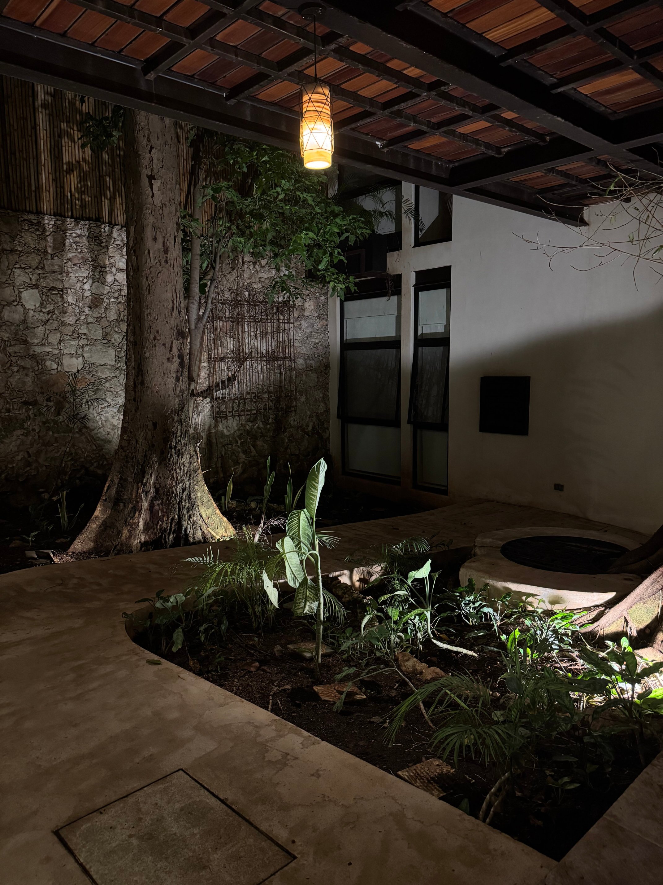 Treehouse Boutique Hotel-官方