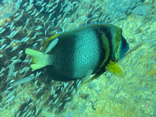 Xoc Baja Tours-拉巴斯必去景点