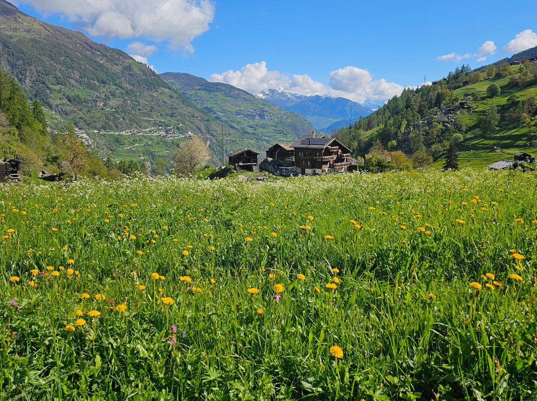Camping Grächbiel Grächen