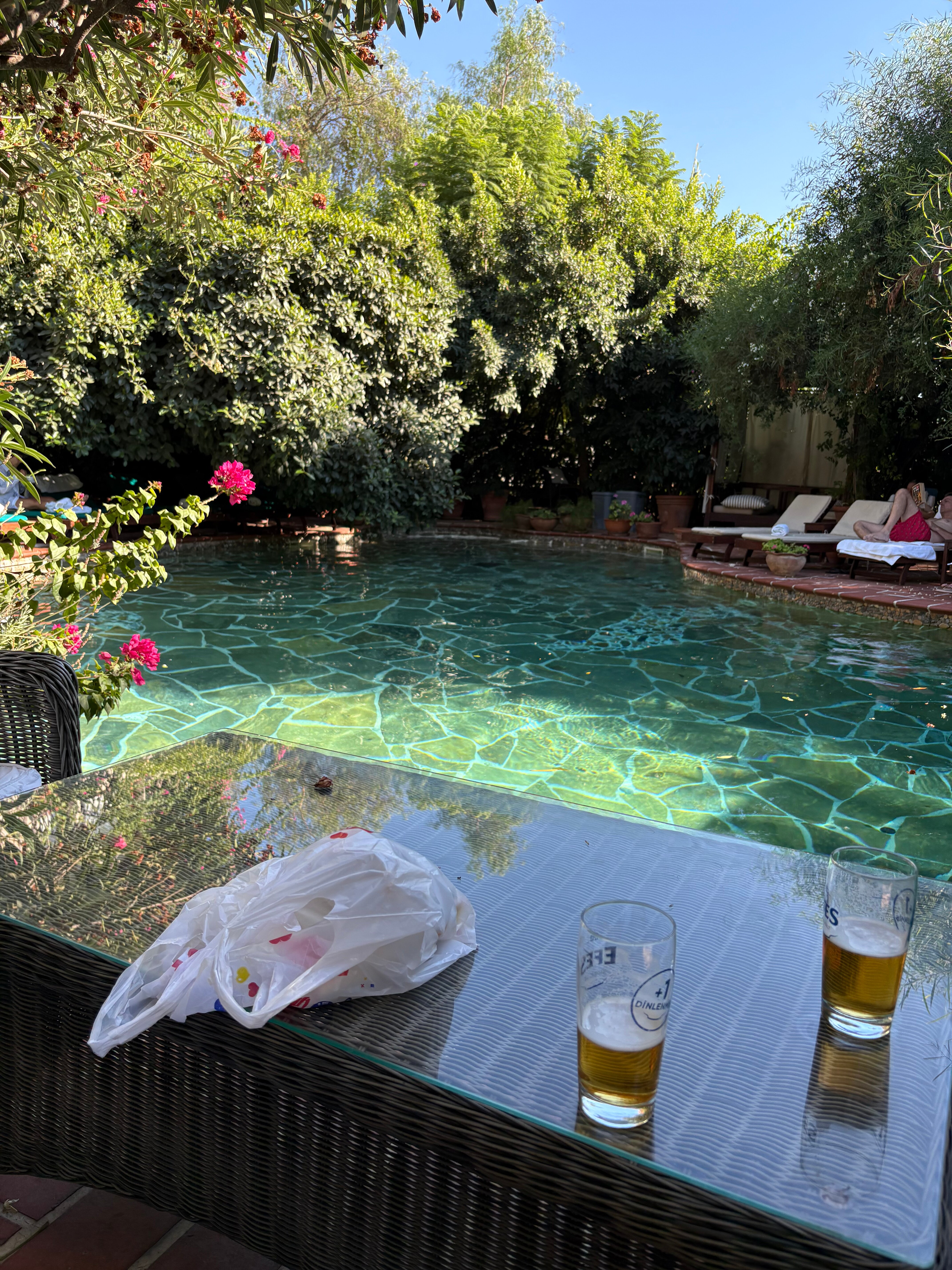 艾莉维诺套房酒店-泳池