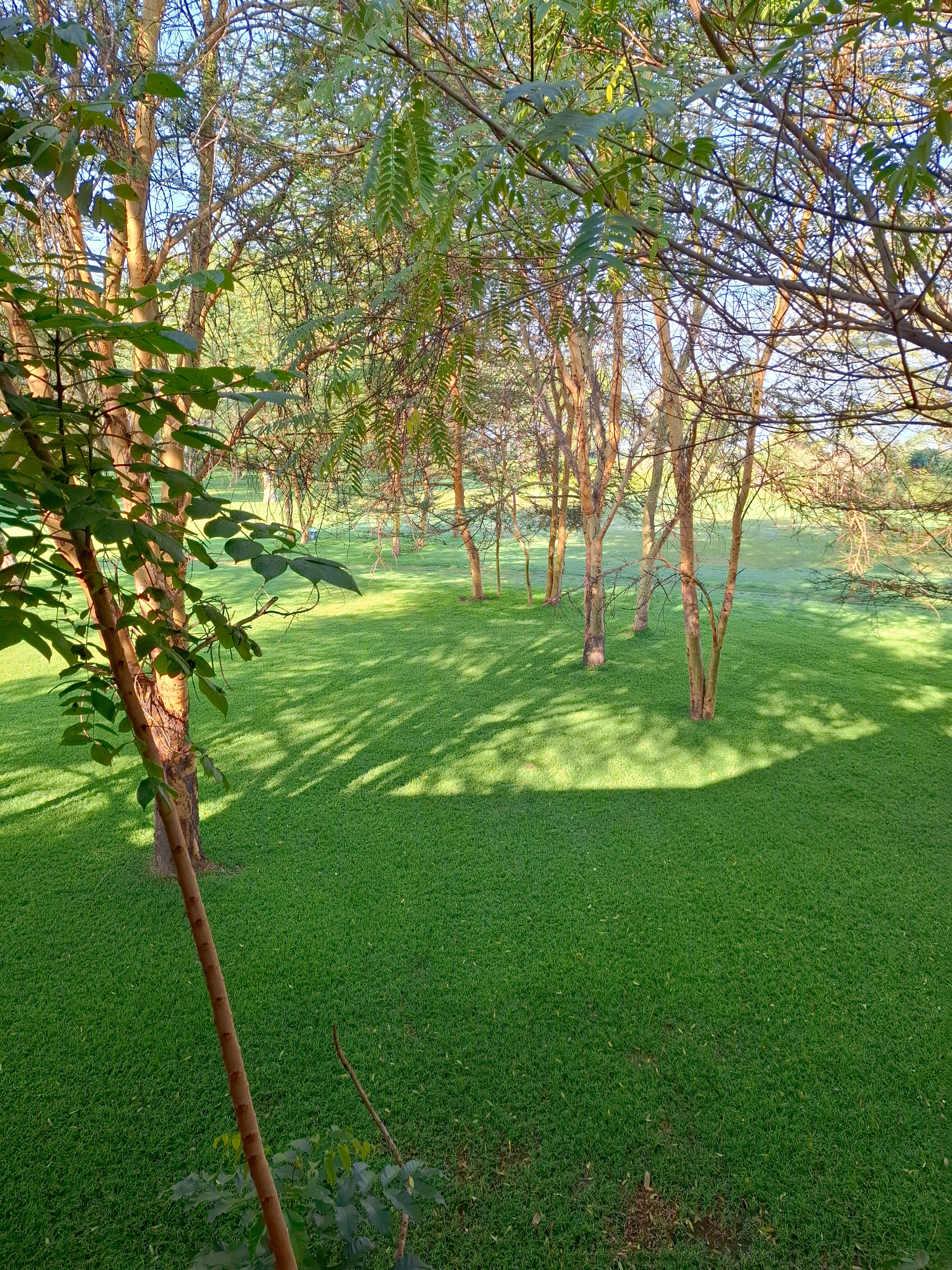 Sawela Lodges-官方