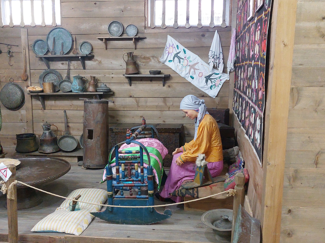 Ethnographic Museum "Borjgalo"-巴统必去景点