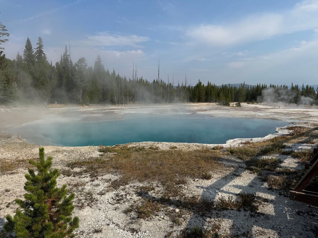 The Wildland Trekking Company-黄石国家公园必去景点