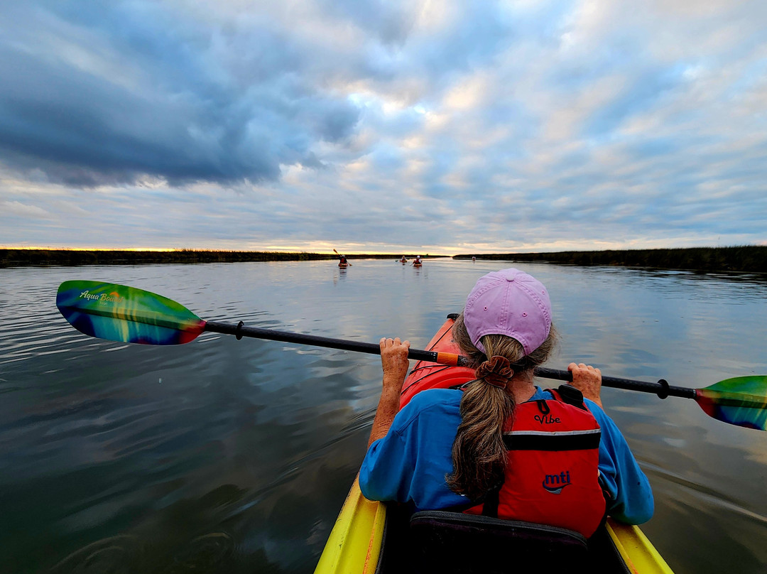 Coastal Kayak Touring Company-Duck必去景点