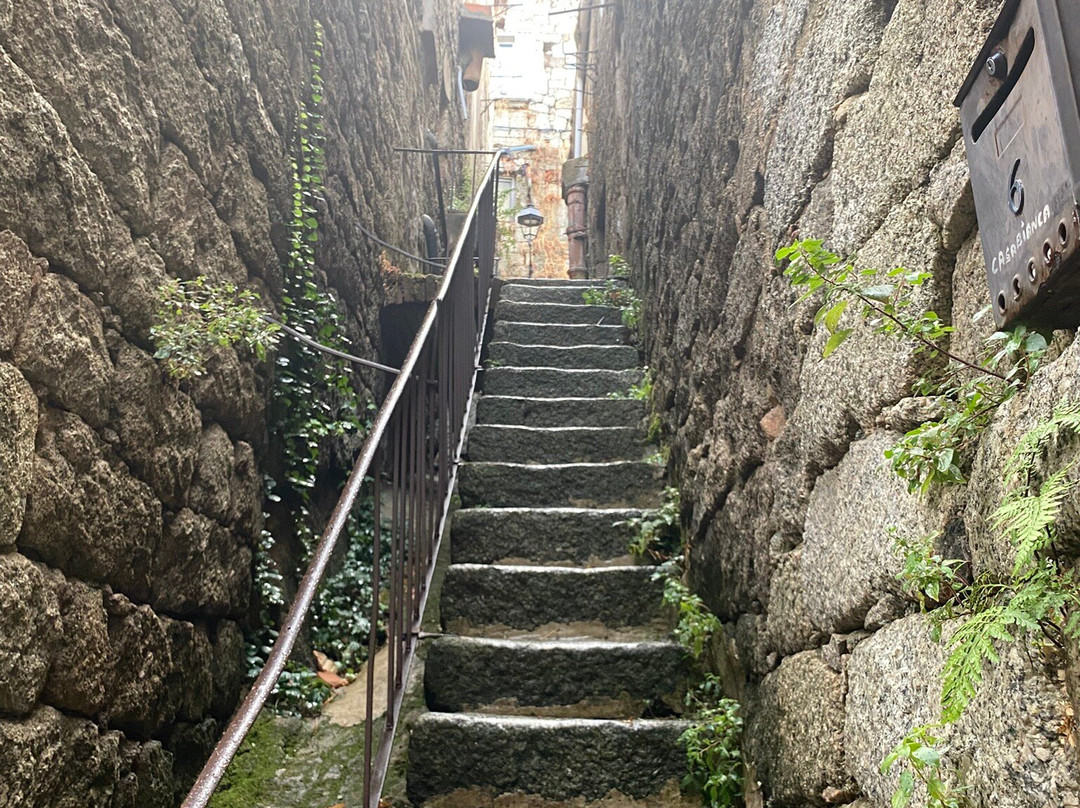 Authentic'tour Excursions-阿雅克肖必去景点