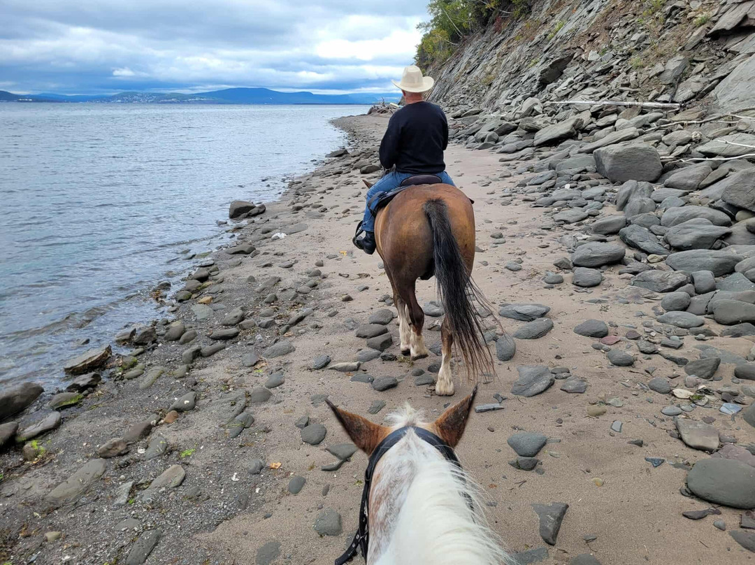 Le Domaine du Centaure-Gaspe必去景点