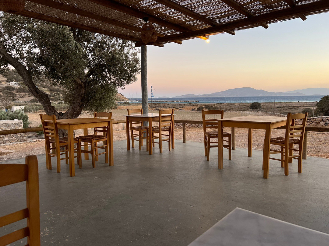 Ammoudia Beach-Ammoudia必去景点