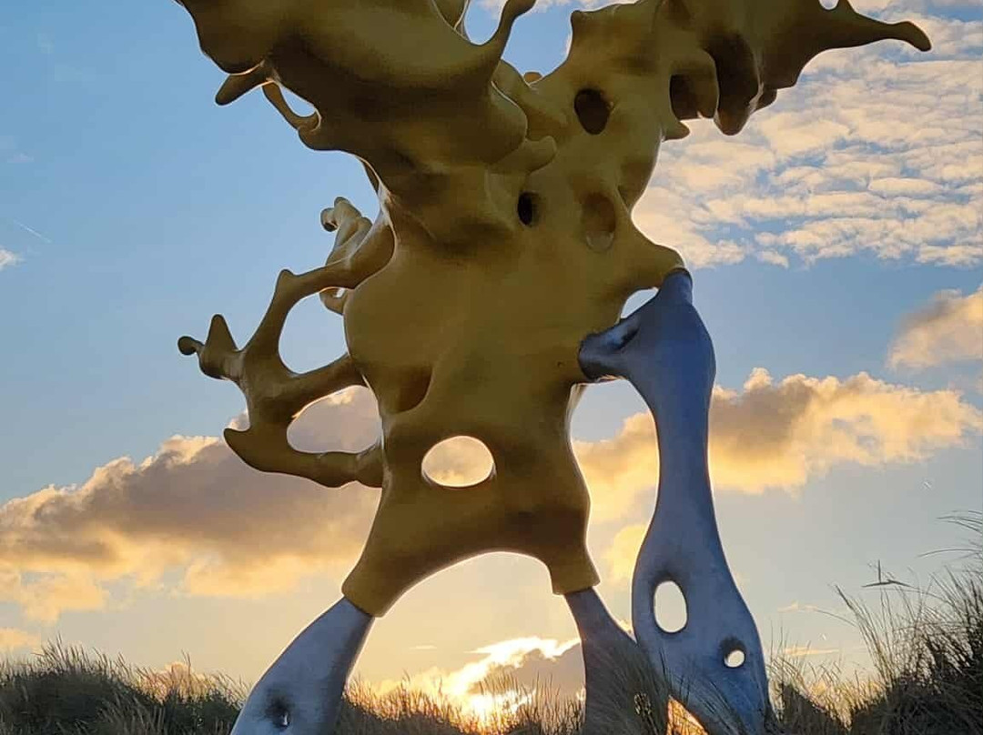 The Kusttram-奥斯坦德必去景点