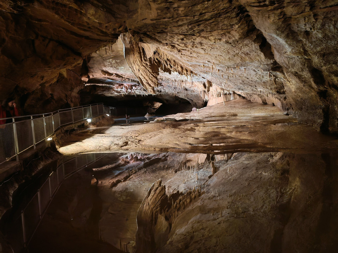Grottes de Lacave-Lacave必去景点