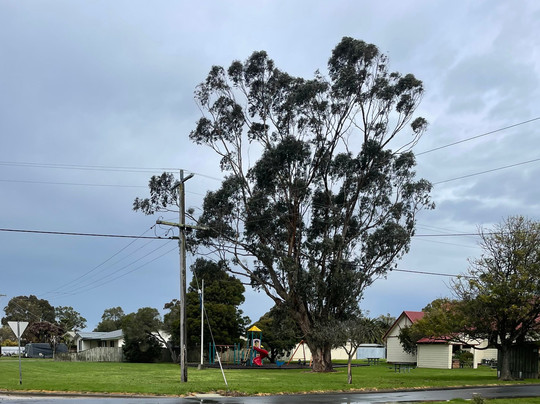 Franklin Street Playground-Port Franklin必去景点
